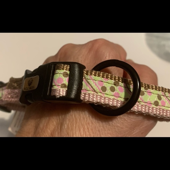 NEW Sz S to M Hamilton Paw Prints Adjustable Dog Collar - Picture 1 of 4
